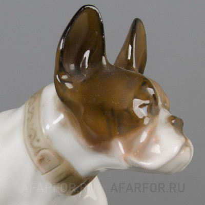 Фарфоровая статуэтка "Французский Бульдог" Rosenthal Германия
