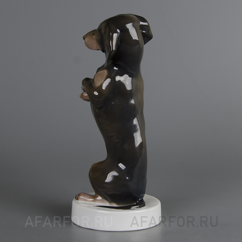 Фарфоровая статуэтка "Такса" Rosenthal Германия