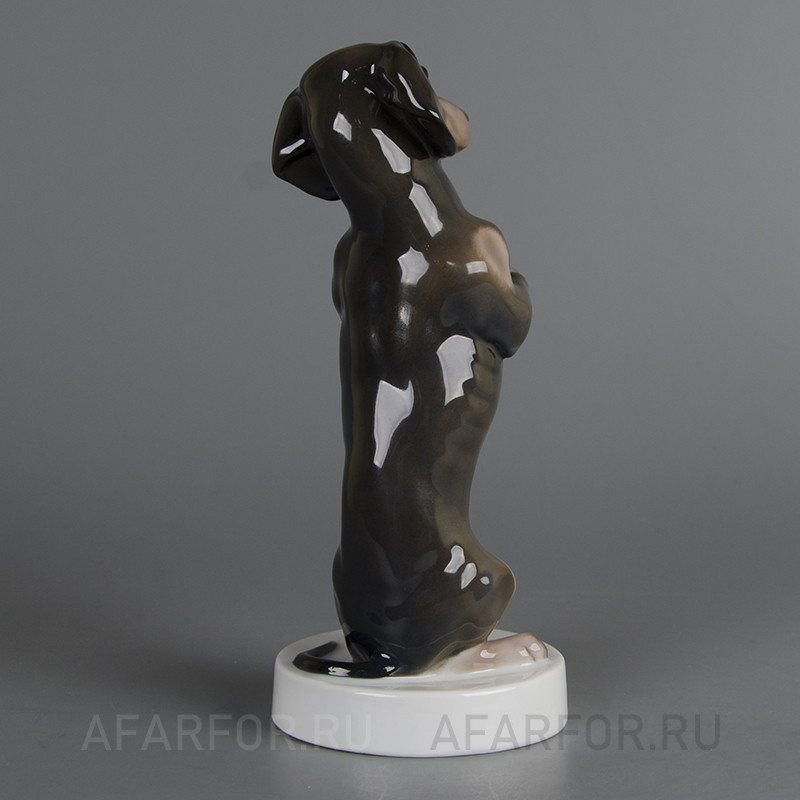 Фарфоровая статуэтка "Такса" Rosenthal Германия