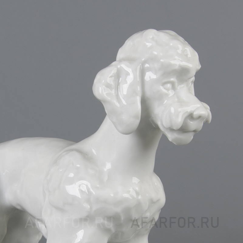 Фарфоровая статуэтка «Пудель» Meissen Германия