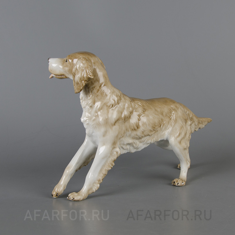Фарфоровая статуэтка «Ирландский сеттер» Rosenthal Германия
