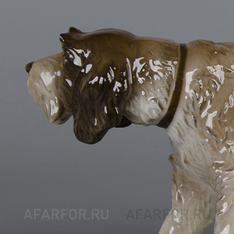 Фарфоровая статуэтка "Дратхаар" Rosenthal Германия