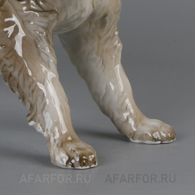 Фарфоровая статуэтка "Дратхаар" Rosenthal Германия