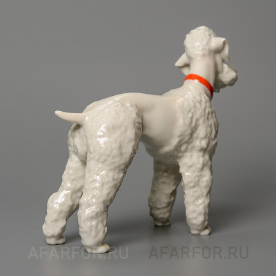 Фарфоровая статуэтка "Белый пудель" Hutschenreuther Германия (арт. 2157-3, фото №25002)
