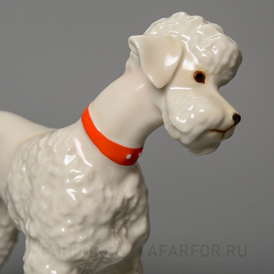 Фарфоровая статуэтка "Белый пудель" Hutschenreuther Германия (арт. 2157-3, фото №25005)