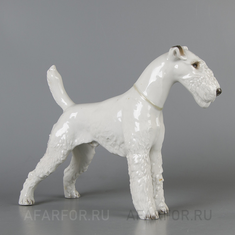 Фарфоровая статуэтка «Фокстерьер» Rosenthal Германия