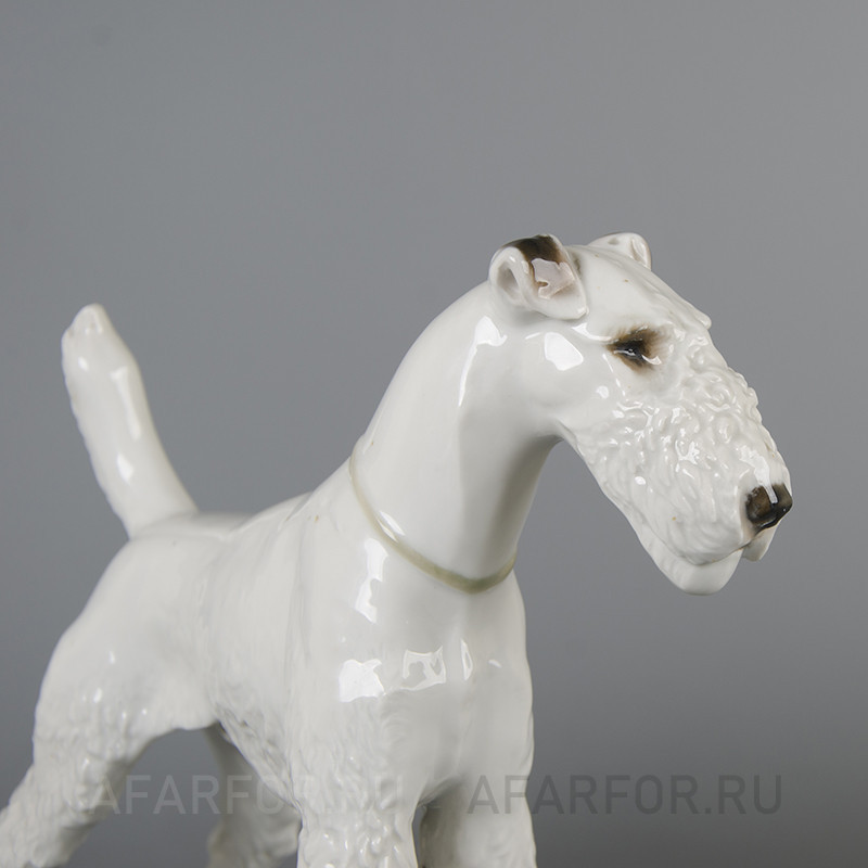 Фарфоровая статуэтка «Фокстерьер» Rosenthal Германия