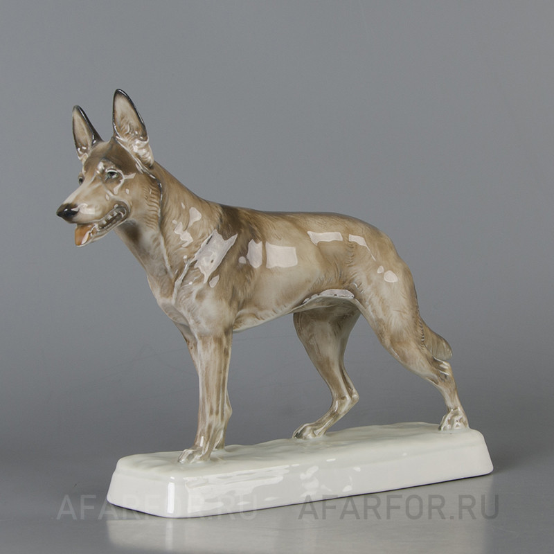 Фарфоровая статуэтка "Немецкая овчарка" Rosenthal Германия. Классика немецкого фарфора для настоящих гурманов антиквариата.