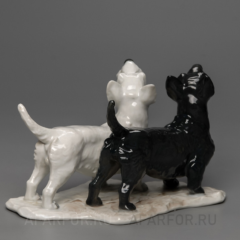 Фарфоровая статуэтка "Инь и Янь. Скотч-терьеры" Rosenthal Германия