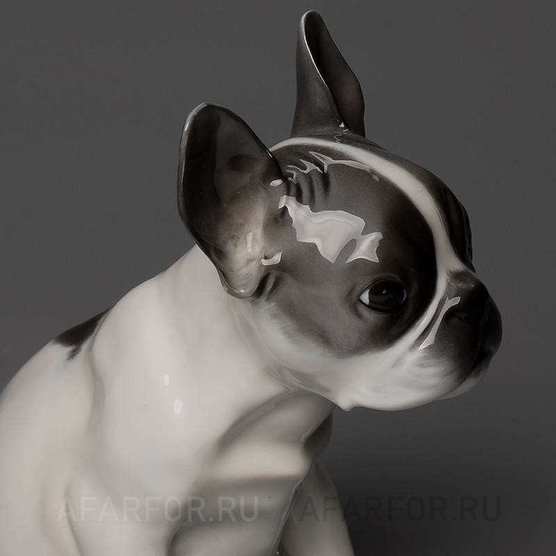 Фарфоровая статуэтка "Французский Бульдог" Rosenthal Германия