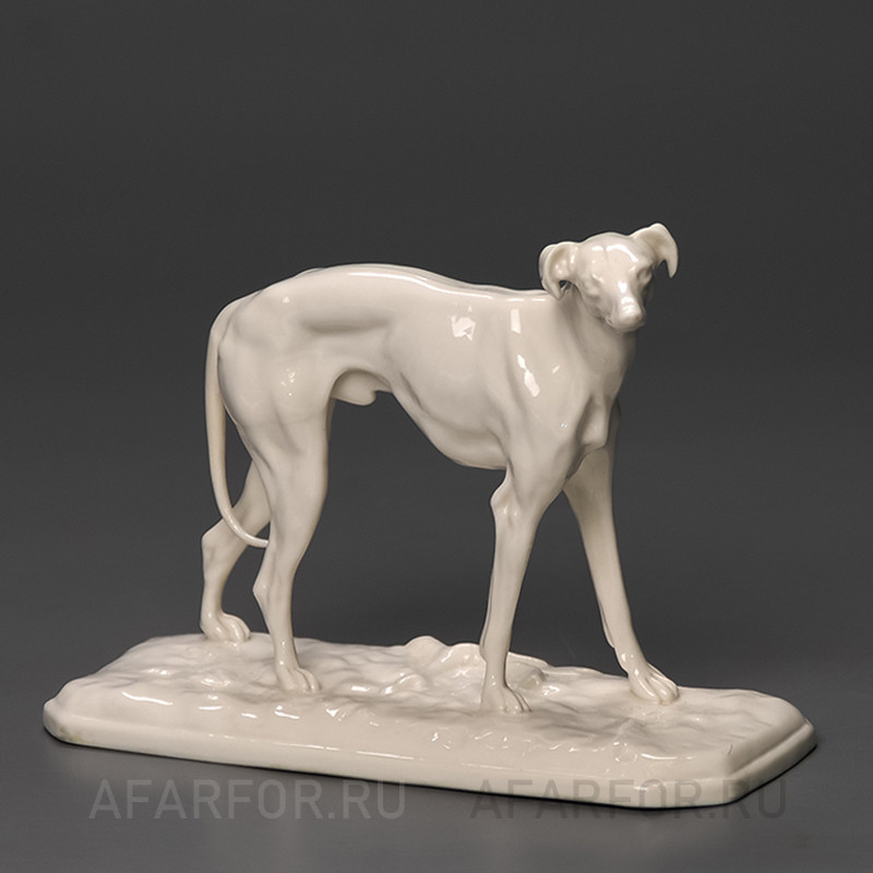 Белая фарфоровая статуэтка «Грейхаунд», Nymphenburg, Германия, антиквариат (арт. 1148-3)