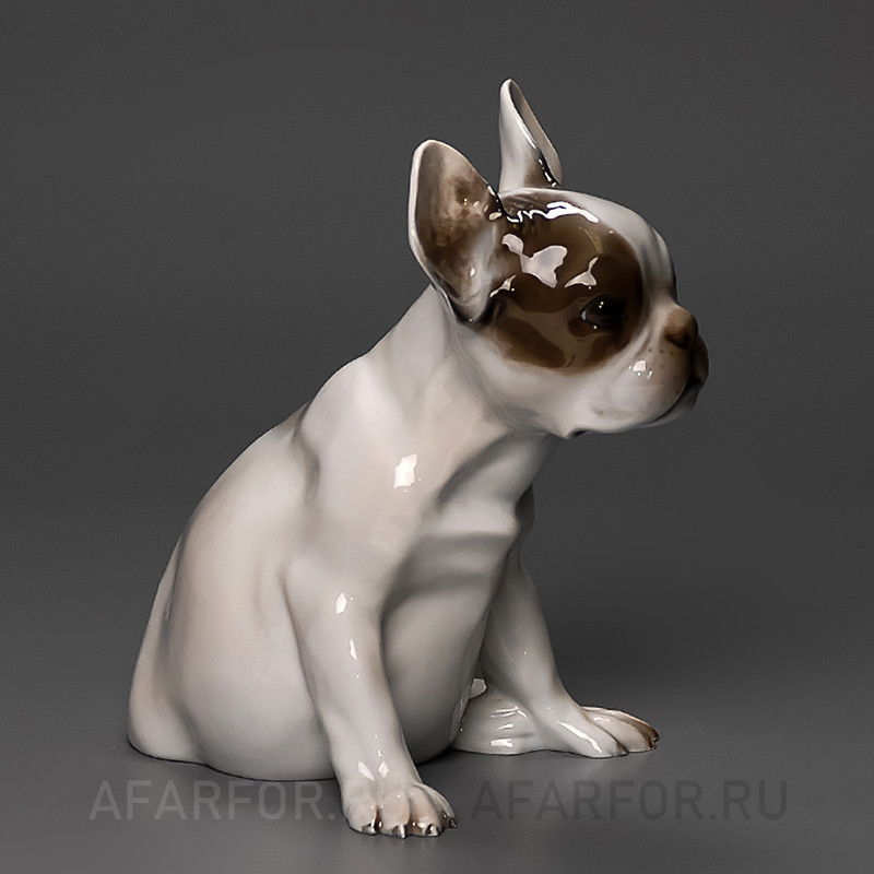 Фарфоровая статуэтка "Французский бульдог" Rosenthal Германия