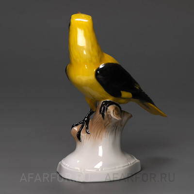 Фарфоровая статуэтка "Иволга" Rosenthal Германия (фото №35158)