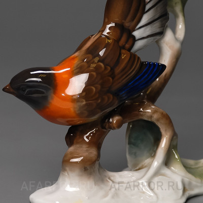 Фарфоровая статуэтка "Райская птичка" Rosenthal Германия (фото №35175)