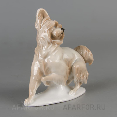 Фарфоровая статуэтка "Болонка с поднятой лапкой" Rosenthal Германия (арт. 2296-2, фото №38290)