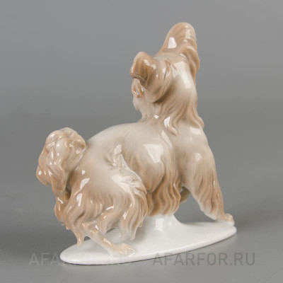 Фарфоровая статуэтка "Болонка с поднятой лапкой" Rosenthal Германия (арт. 2296-2, фото №38293)