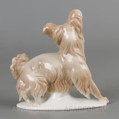 Фарфоровая статуэтка "Болонка с поднятой лапкой" Rosenthal Германия (арт. 2296-2, фото №38294)