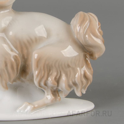 Фарфоровая статуэтка "Болонка с поднятой лапкой" Rosenthal Германия (арт. 2296-2, фото №38301)
